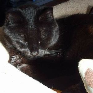 Meet your Posher, Nikki